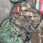 Lakhs of termite-infested cash recovered from Surendranath college union room