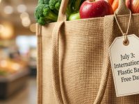 Breaking Free from Single-Use Plastics